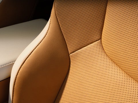 D&eacute;tail int&eacute;rieur Lexus RZ