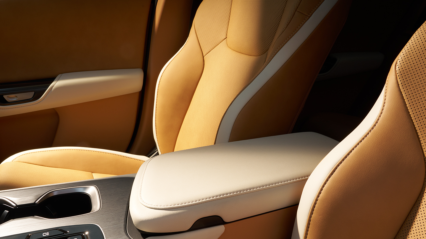 Sellerie Ultrasuede du Lexus RZ